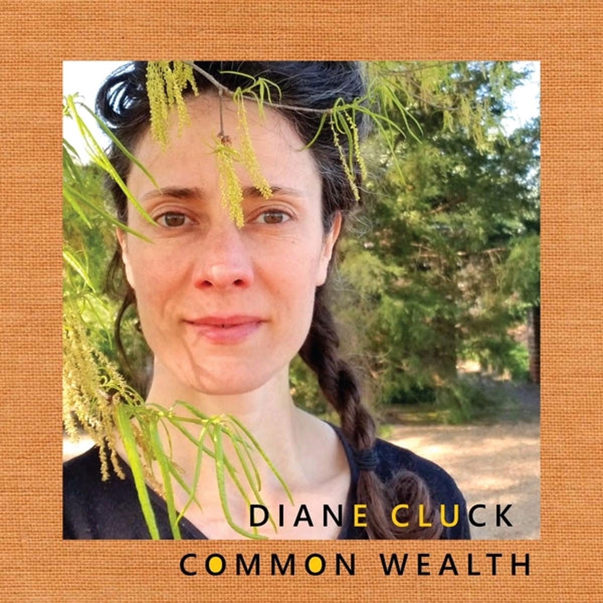 Diane Cluck – Common Wealth (LP)