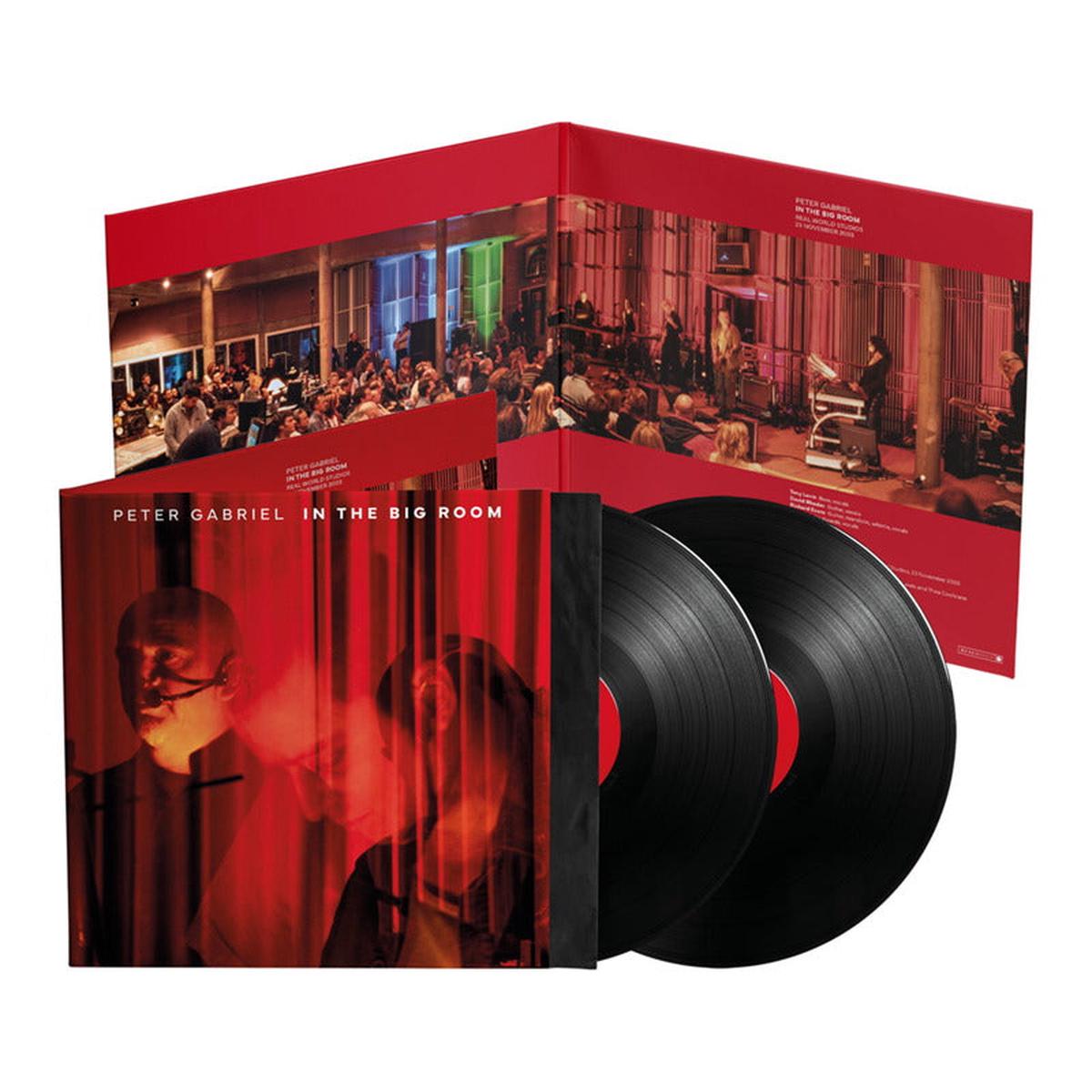 GABRIEL, PETER – IN THE BIG ROOM : 2LP SET – LP