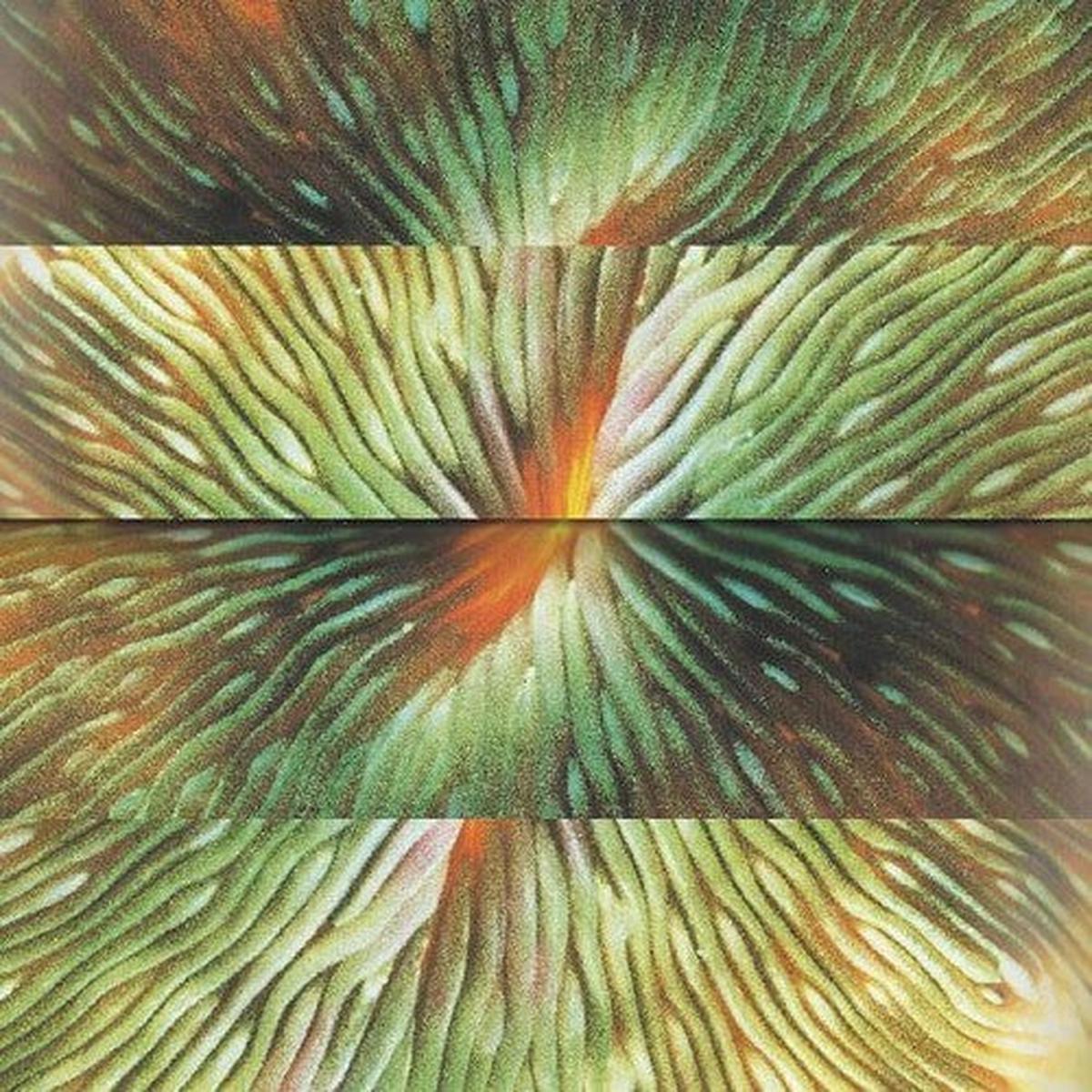 Active Surplus: Mirroring – VINYL LP