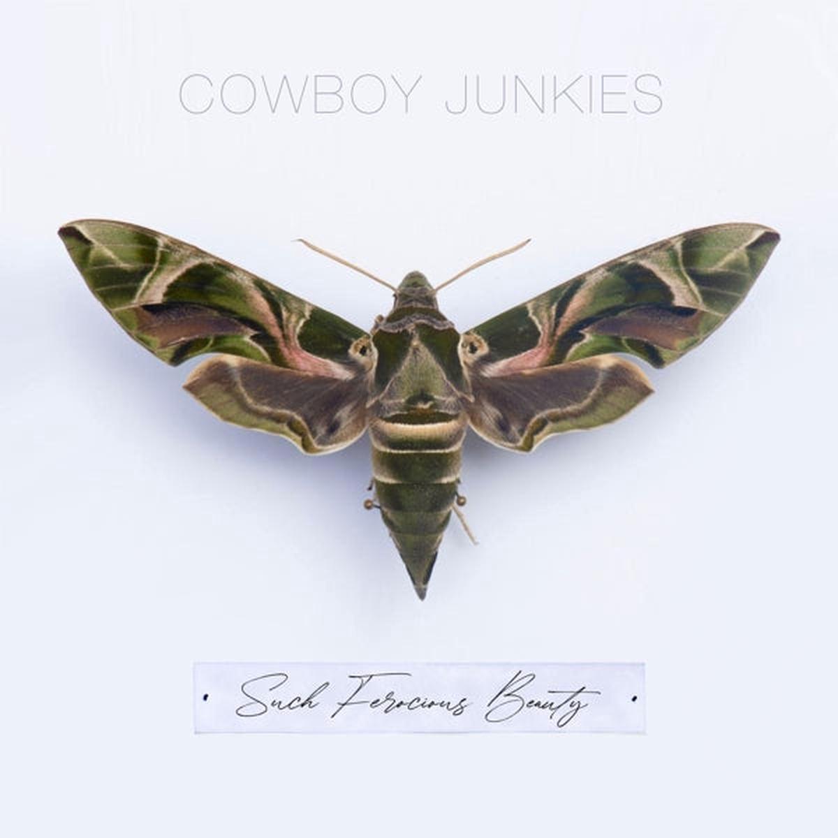 Cowboy Junkies – Such Ferocious Beauty (LP)