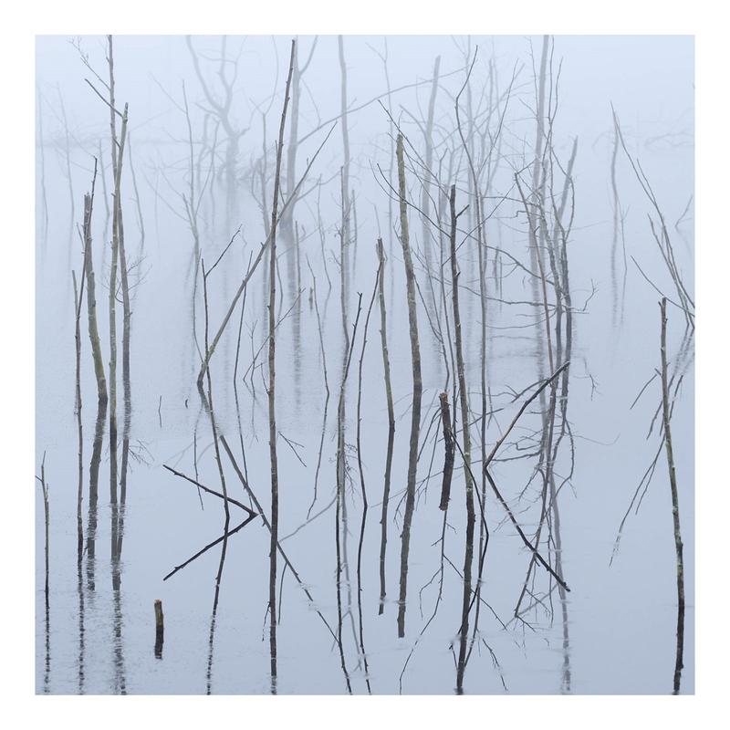 Olhava – Frozen Bloom (LP)
