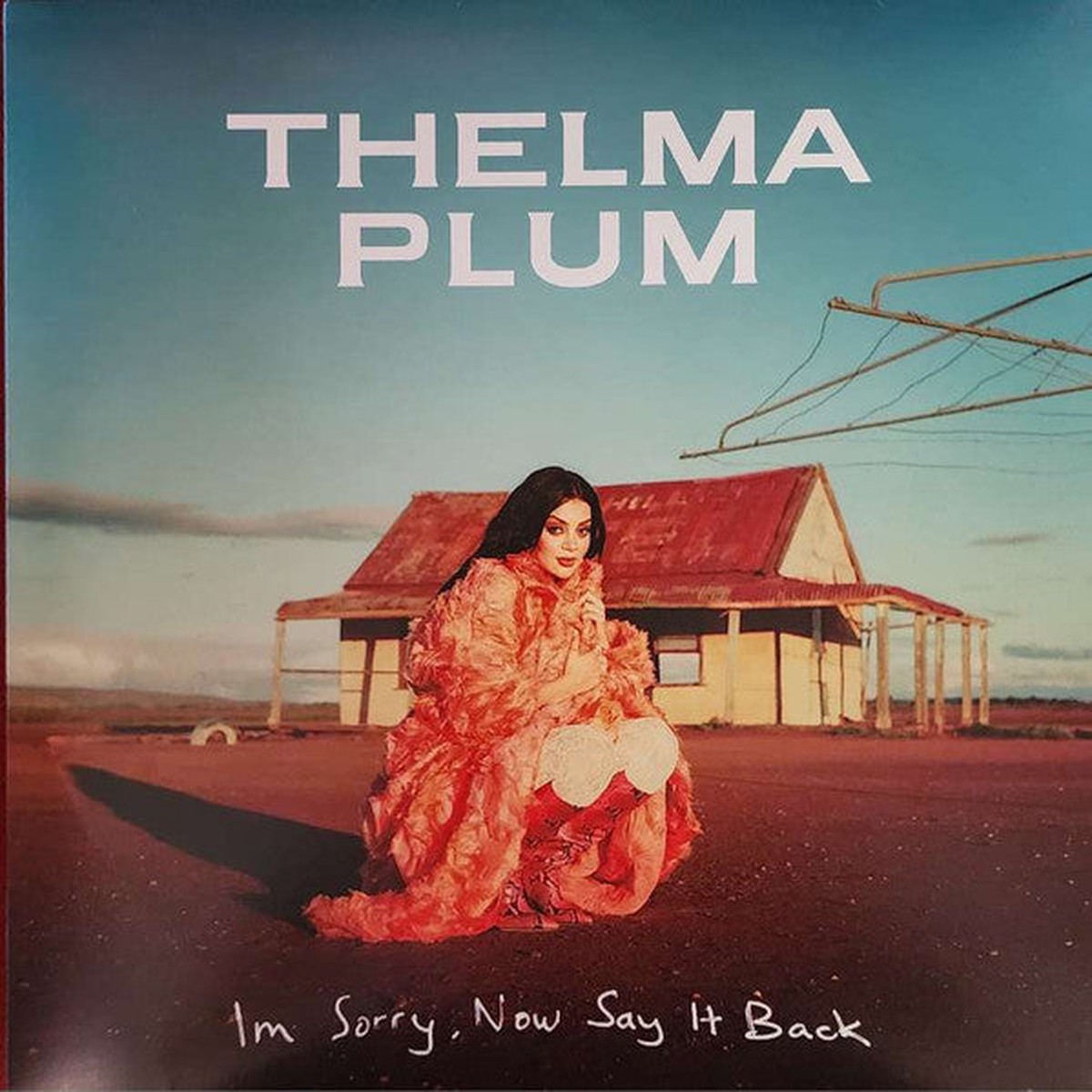 PLUM, THELMA – I’M SORRY NOW SAY IT BACK – LP