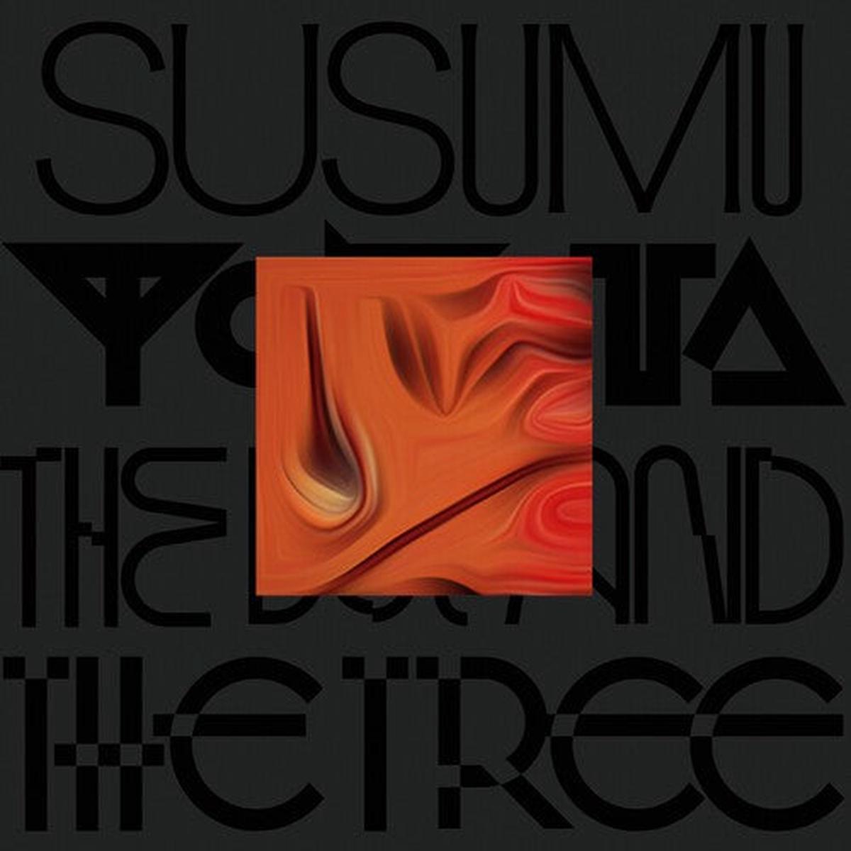 Susumu Yokota: The Boy And The Tree – Skintone – VINYL LP