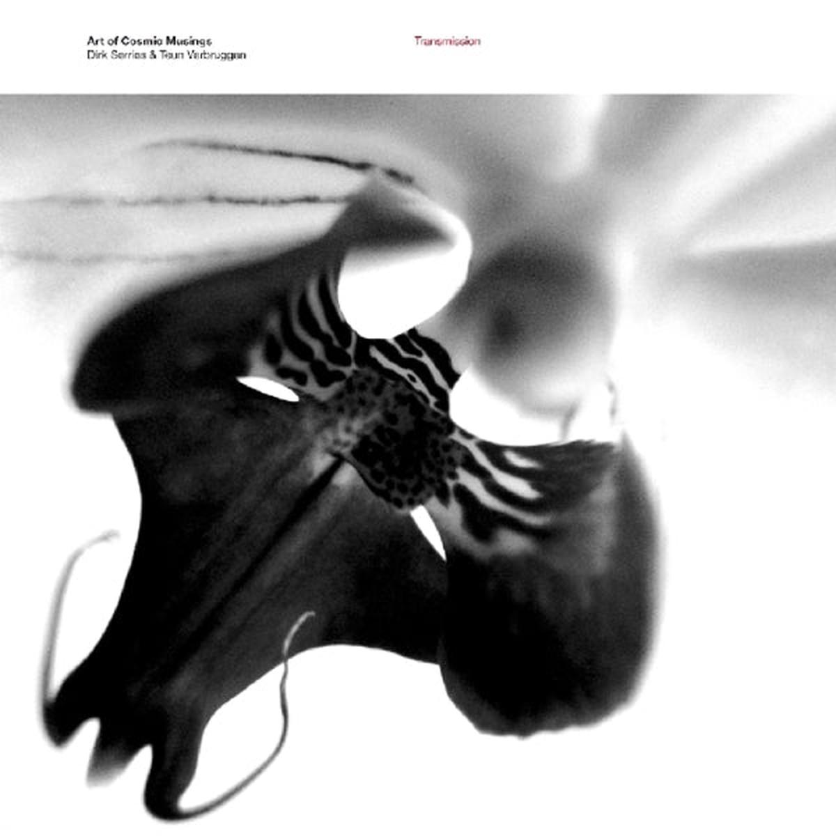 Art of Cosmic Musings – Transmission (2 LPs)