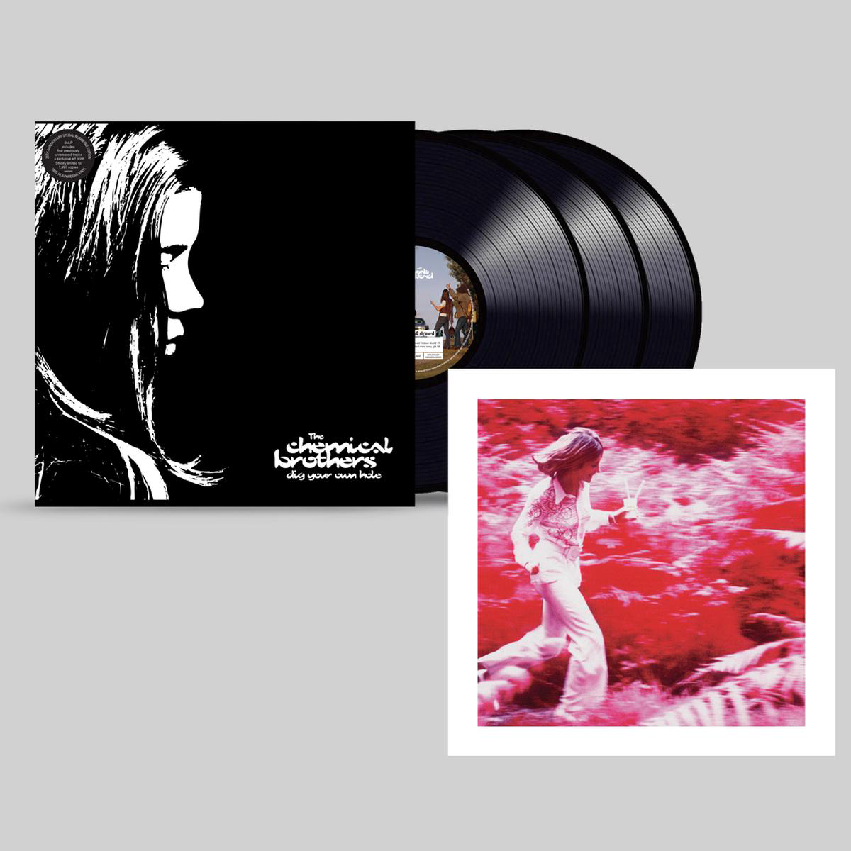 Dig Your Own Hole Limited Edition Triple Vinyl LP (with 5 new bonus tracks)