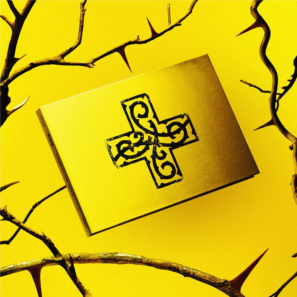 7TH YEAR A Moment of Stillness in the Thorns (Yellow) CD Album