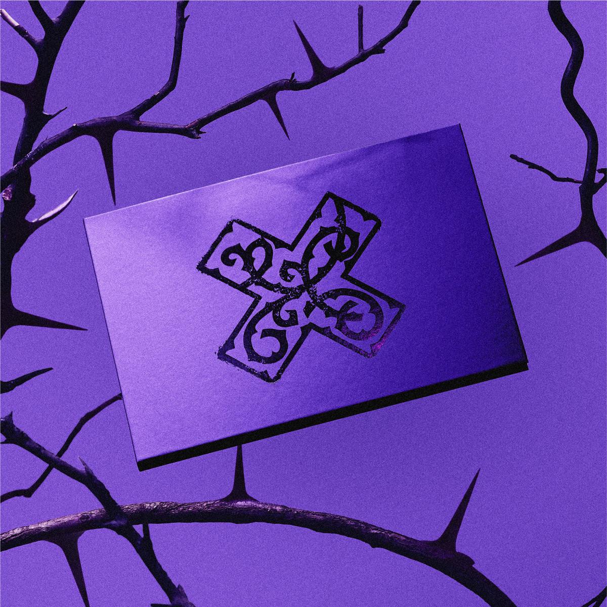 7TH YEAR: A Moment of Stillness in the Thorns (Purple): CD Album