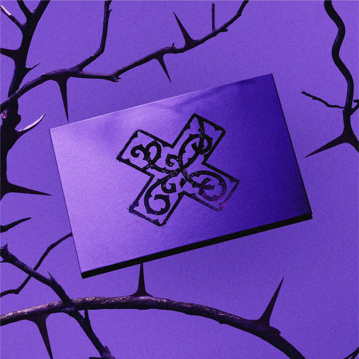 7TH YEAR A Moment of Stillness in the Thorns (Purple) CD Album