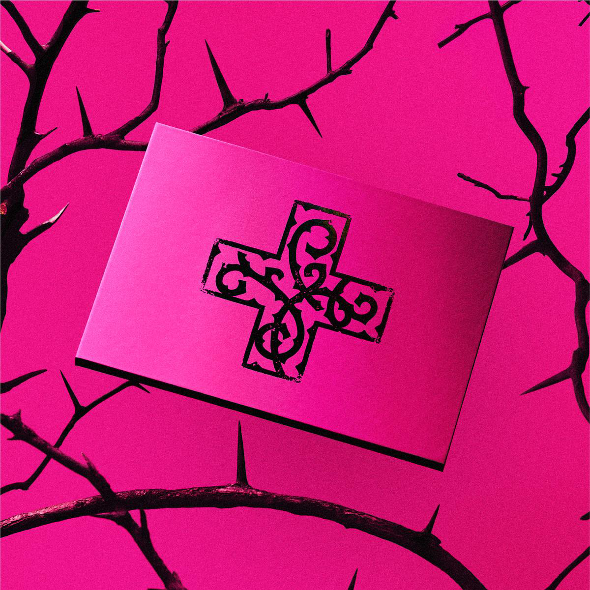 7TH YEAR A Moment of Stillness in the Thorns (Pink) CD Album